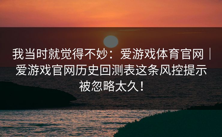 我当时就觉得不妙：爱游戏体育官网｜爱游戏官网历史回测表这条风控提示被忽略太久！