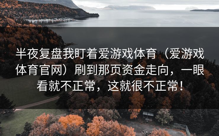 半夜复盘我盯着爱游戏体育（爱游戏体育官网）刷到那页资金走向，一眼看就不正常，这就很不正常！