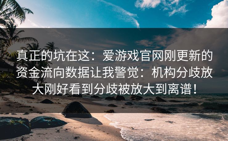 真正的坑在这：爱游戏官网刚更新的资金流向数据让我警觉：机构分歧放大刚好看到分歧被放大到离谱！