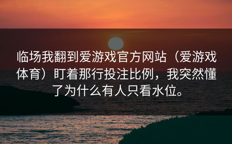 临场我翻到爱游戏官方网站（爱游戏体育）盯着那行投注比例，我突然懂了为什么有人只看水位。
